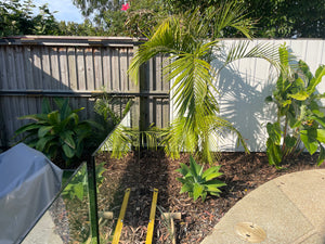 Coastal Fencing & Cladding Panels