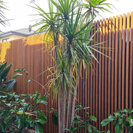 Bamboo Slatted Screens