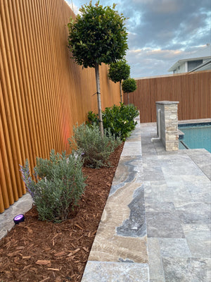 Bamboo Slatted Screens