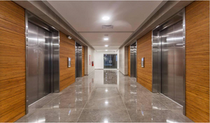 Ascot Feature Wall or Ceiling Linings - External or Internal